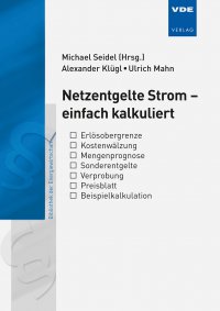 Netzentgelte Strom – einfach kalkuliert