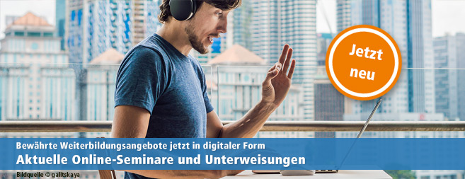 Virtuelle VDE-Seminare Virtuelle VDE-Seminare